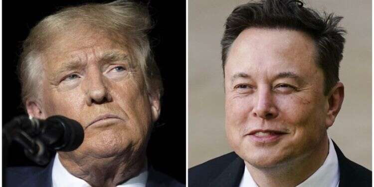 אילון מאסק ודונלד טראמפ. צילומים: AP פוליטיקה ועסקים: הפגישות "הסודיות" של טראמפ ואילון מאסק