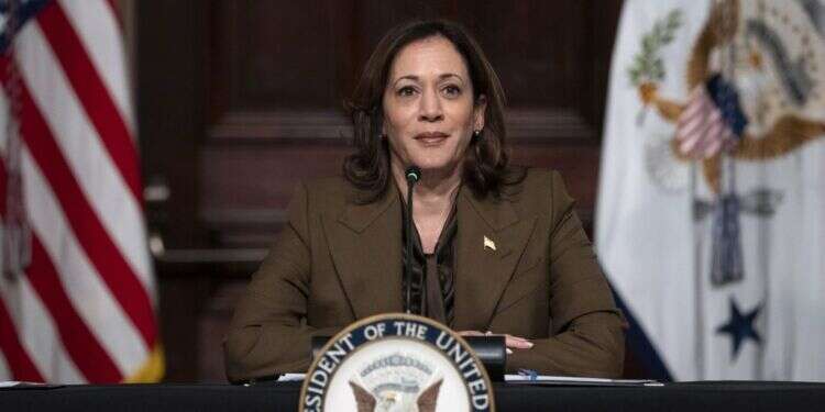 סגנית נשיא ארה למרות התנגדות נתניהו: גנץ ייפגש עם סגנית נשיא ארה"ב