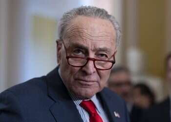 "גרוטסקית וצבועה": מנהיג הסנאט האמריקני קרא לקיים בחירות בישראל