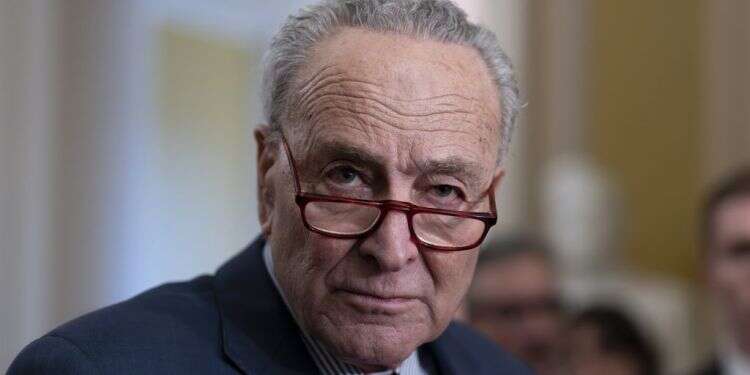 "גרוטסקית וצבועה": מנהיג הסנאט האמריקני קרא לקיים בחירות בישראל