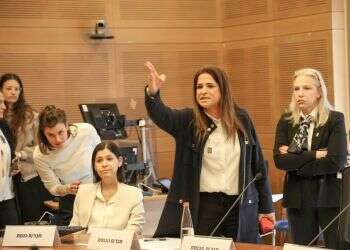 "את בושה למגזר הנשי": פוצץ הדיון בכנסת על אלימות נגד נשים
