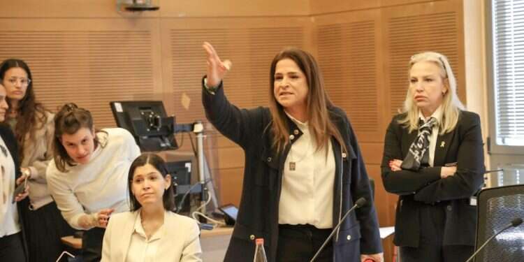 "את בושה למגזר הנשי": פוצץ הדיון בכנסת על אלימות נגד נשים