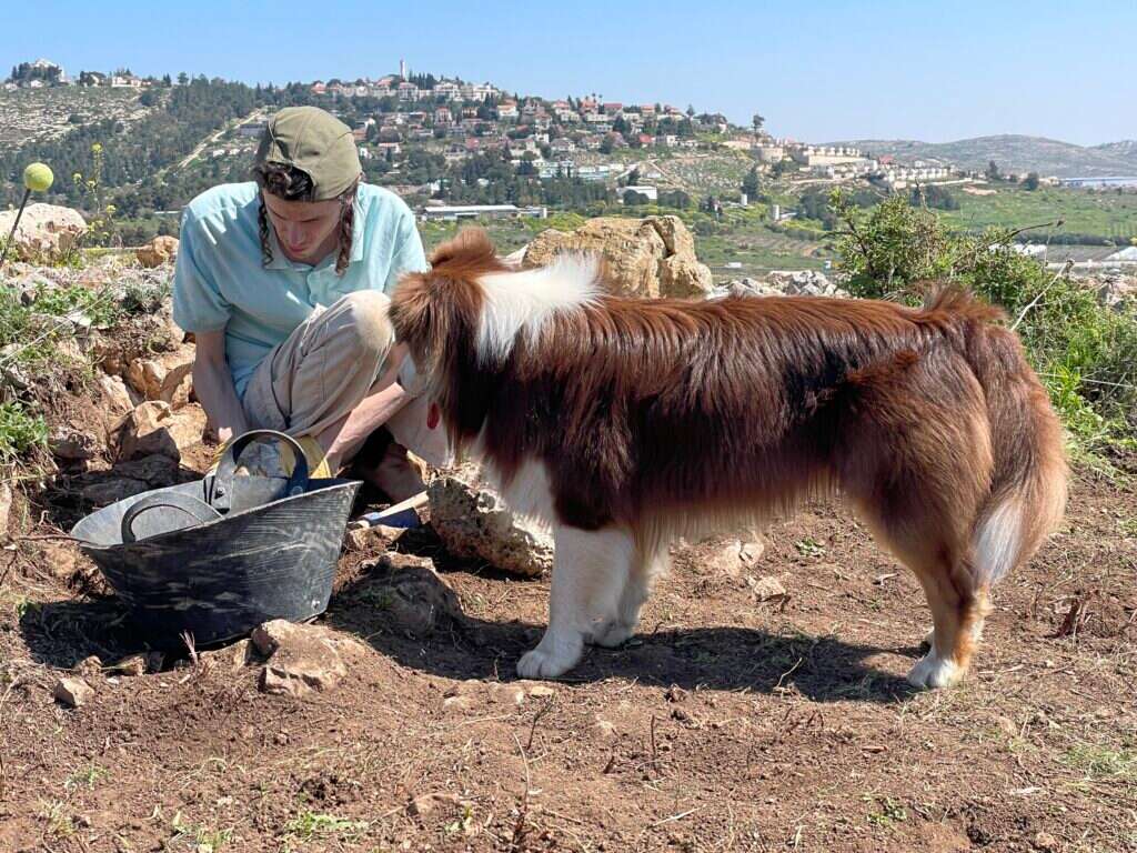 סאם הכלב מסייע לאלעד הסטודנט. צילום: איילת כהנא