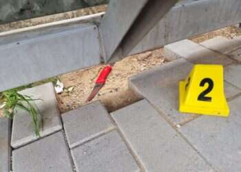 הסכין בה בוצע פיגוע הדקירה בנווה יעקב. צילום: דוברות המשטרה הסכין בה בוצע פיגוע הדקירה בנווה יעקב