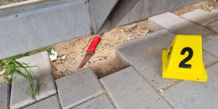 הסכין בה בוצע פיגוע הדקירה בנווה יעקב