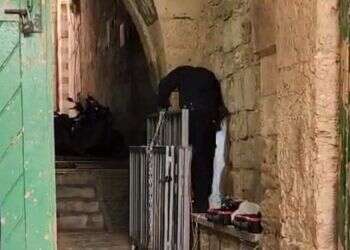 פייק ניוז ברמדאן: פרסום שקרי על הר הבית הופץ בערבית