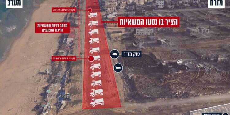 ממצאי התחקיר. צילום: דובר צה צה"ל פרסם את תחקיר האירוע בו נהרגו עזתים שבזזו משאיות סיוע
