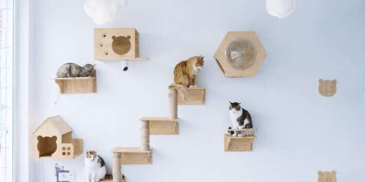 צילום: Yufan Lu - Washington Post  צילום: Yufan Lu - Washington Post