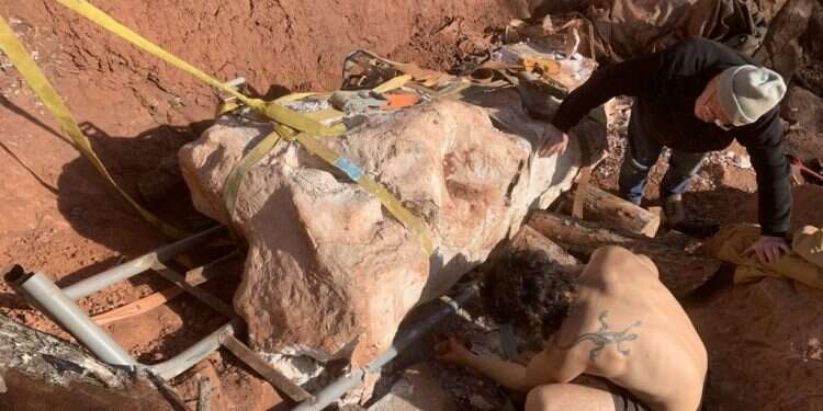 עצמות הדינוזאור. צילום: Damien Boschetto לקח את הכלבה לטיול ומצא עצמות דינוזאור ענקיות