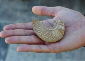 שריד מהלגיון הרומאי: נער גילה בטיול שנתי נר שמן ייחודי בן כ-1,600 שנה