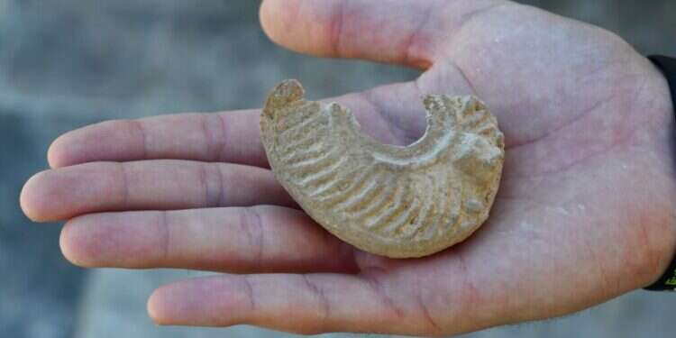 נר השמן ממצד צפיר. צילום: יולי שוורץ רשות העתיקות שריד מהלגיון הרומאי: נער גילה בטיול שנתי נר שמן ייחודי בן כ-1,600 שנה