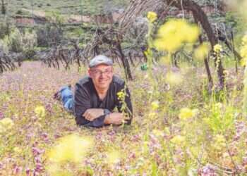 נעם יעקובסון. צילום: נעמה שטרן