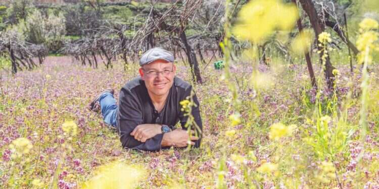 נעם יעקובסון. צילום: נעמה שטרן