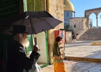 הרב יוסף אלבום בהר הבית, השבוע