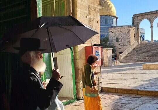 הרב יוסף אלבום בהר הבית, השבוע הרב יוסף אלבום בהר הבית, השבוע