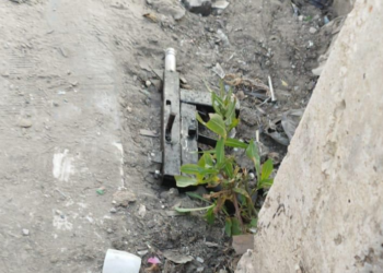 פיגוע משולב צפונית לקריית ארבע – המחבלים נוטרלו