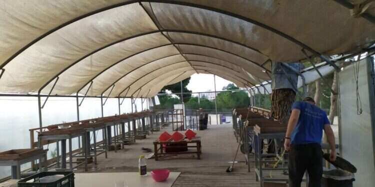 ארכיאולוגים מבקשים את עזרת הציבור: מה פשר הממצא מלפני 2000 שנה?