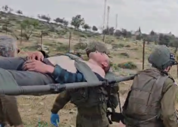 פלסטינים תקפו באבנים רועה צאן יהודי שנפצע בראשו