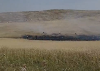 פלסטינים הציתו שטחי מרעה בבנימין: פעיל השמאל האשים את המתיישבים