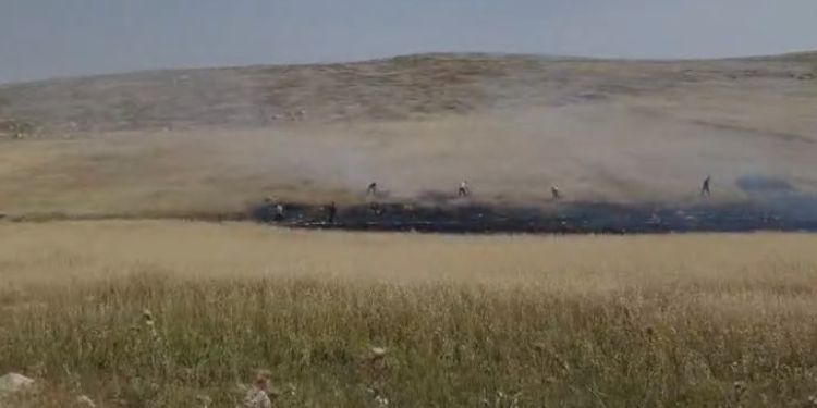 פלסטינים הציתו שטחי מרעה בבנימין: פעיל השמאל האשים את המתיישבים