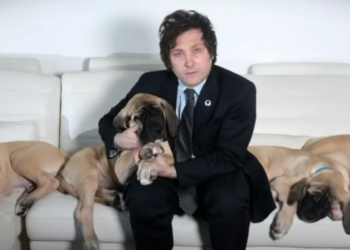 כלב רפאים: אובססיית הכלבים של נשיא ארגנטינה מעוררת דאגות