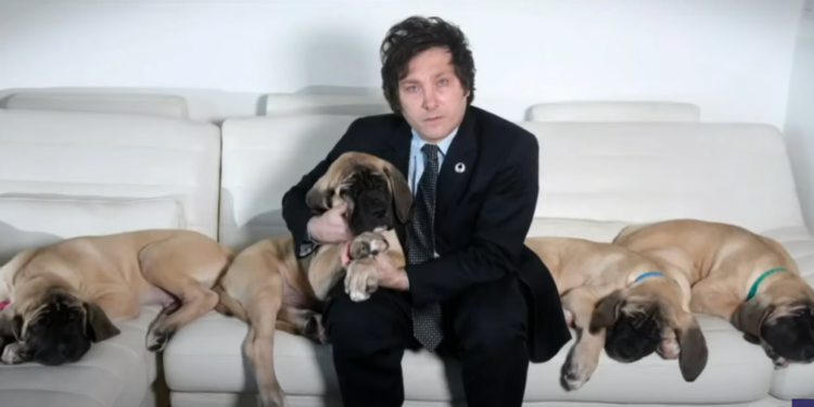 כלב רפאים: אובססיית הכלבים של נשיא ארגנטינה מעוררת דאגות