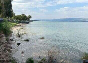 הצער עוד נותר באוויר, אבל בחופי הכנרת כמו מאומה לא קרה