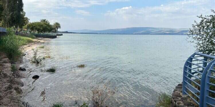 חוף כנרת. צילום: אורלי גולדקלנג הצער עוד נותר באוויר, אבל בחופי הכנרת כמו מאומה לא קרה