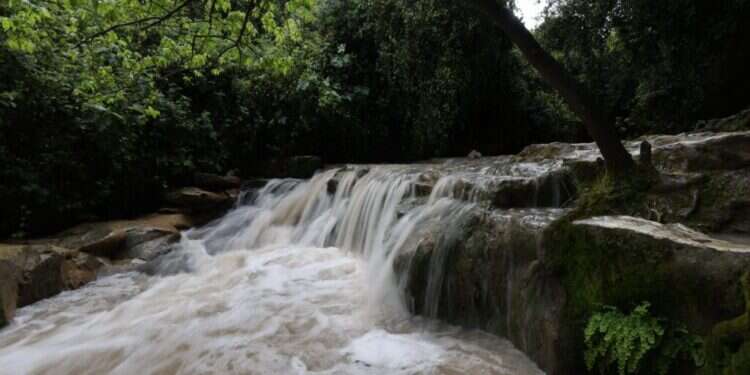 בהשקעה של עשרות מיליונים: נחל השופט נפתח למבקרים