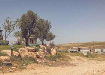 חוות טליה. צילום: נעמה שטרן