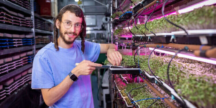 ראובן מריוט, בעל העסק "נבטי ישראל" במושב שפיר. צילום: אריק סולטן