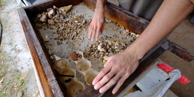 פעילות סינון העפר באתר הסינון במצפה המשואות. צילום: פרויקט סינון העפר מהר הבית ארכיאולוגים מבקשים את עזרת הציבור: מה פשר הממצא מלפני 2000 שנה?