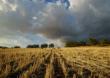 15 שנות עבודה: הסרט "קרב אוויר" עולה לאקרנים