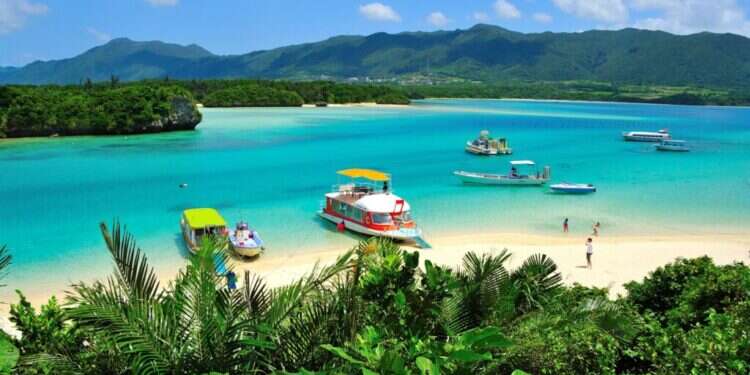 פחות אבקנים- יותר תפוקה בעבודה מרחוק. חוף באיי אוקינאווה, יפן. צילום: שאטרסטוק פחות אבקנים- יותר תפוקה בעבודה מרחוק. חוף באיי אוקינאווה, יפן. צילום: שאטרסטוק