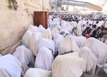 שדרות, ירושלים והספארי: מה עושים עם הילדים בפסח