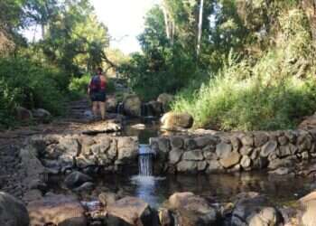 חג האביב כבר כאן: טיולים ופעילויות לפסח לכל המשפחה