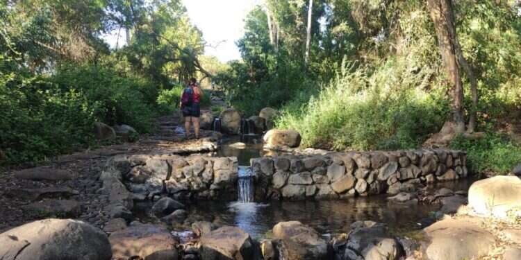 עינות סלוקיה. צילום: צ'ק אין אאוט. חג האביב כבר כאן: טיולים ופעילויות לפסח לכל המשפחה