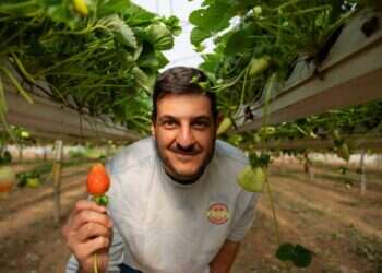 משק 77. צילום: פוניה