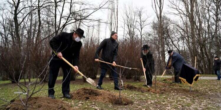המחבר ובנו נפרדו מ"אלה שאינם יכולים לעלות ארצה". רבה של קייב נוטע עץ באתר באבי יאר ביום השואה הבינלאומי 2021. צילום: איי.אף.פי