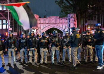 ה"נבואה" של פול אוסטר: 7 נקודות חשובות על ההפגנות בקולומביה