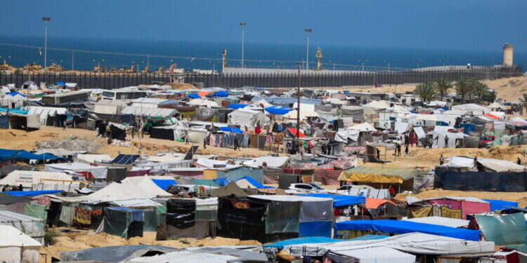 אוהלי עקורים באזור המואסי, בשבוע שעבר. צילום: איי.אף.פי אוהלי עקורים באזור המואסי, בשבוע שעבר. צילום: איי.אף.פי