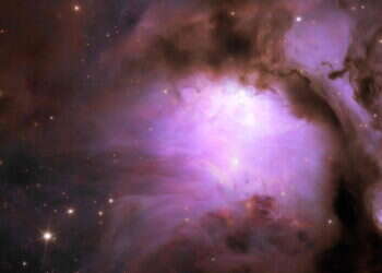 תמונה מטלסקופ החלל אוקליד. צילום: AFP חדר הלידה של הכוכבים: טלסקופ החלל חושף תמונות חדשות