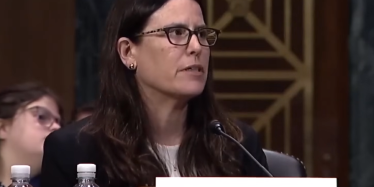 השופטת שרה נטבורן בעת השימוע. צילום מסך מיוטיוב ארה"ב: האנס המורשע הזדהה כאישה והשופטת שלחה אותו לכלא נשים