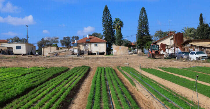 שדה בעוטף עזה, דצמבר 2023. צילום: משה שי, פלאש 90