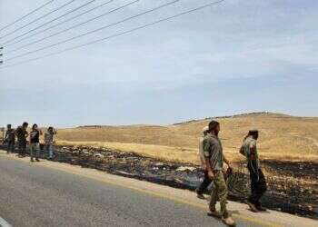 בחצי שעה: ערבים הציתו 2 שריפות בבנימין – ויידו אבנים על כוחות הכיבוי