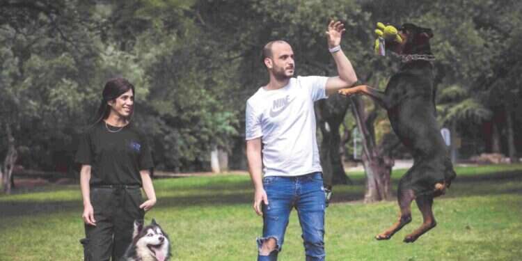 ורוניק ושמואל אברג, בעלי העסק ורוניק ושמואל אברג, בעלי העסק "כוח הלהקה" - פנסיון ואילוף כלבים. צילום: אריק סולטן