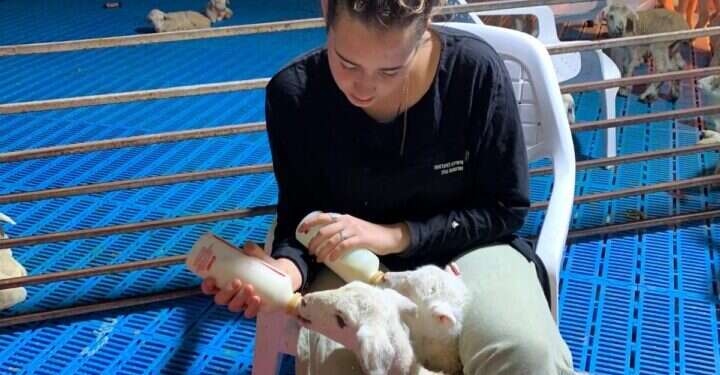 צילום: באדיבות  צילום: באדיבות "שועלות"