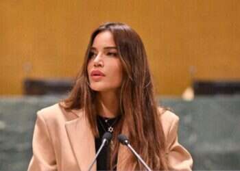 נטלי דדון באו"ם. הסברה. האומות המאוחדות