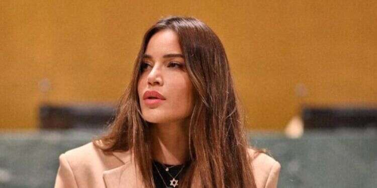 נטלי דדון באו נטלי דדון באו"ם. הסברה. האומות המאוחדות