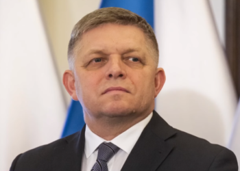 רוברט פיצו. צילום מסך מיוטיוב רוברט פיצו. צילום מסך מיוטיוב